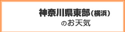 神奈川県東部(横浜)のお天気 神奈川県東部(横浜)のお天気